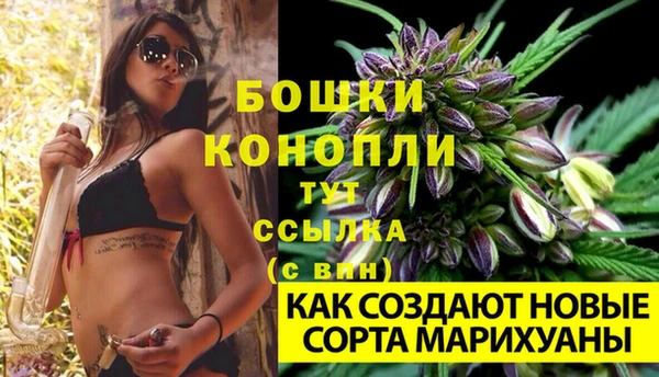 spice Нягань