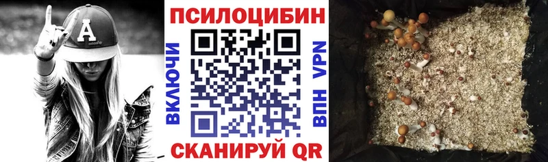 Псилоцибиновые грибы мицелий  Новый Уренгой 