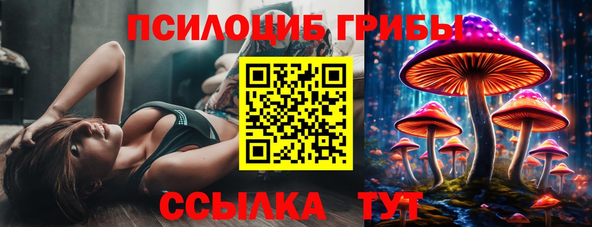 Галлюциногенные грибы Psilocybine cubensis  Псилоцибиновые грибы Psilocybine cubensis  Новый Уренгой  Вход с VPN 